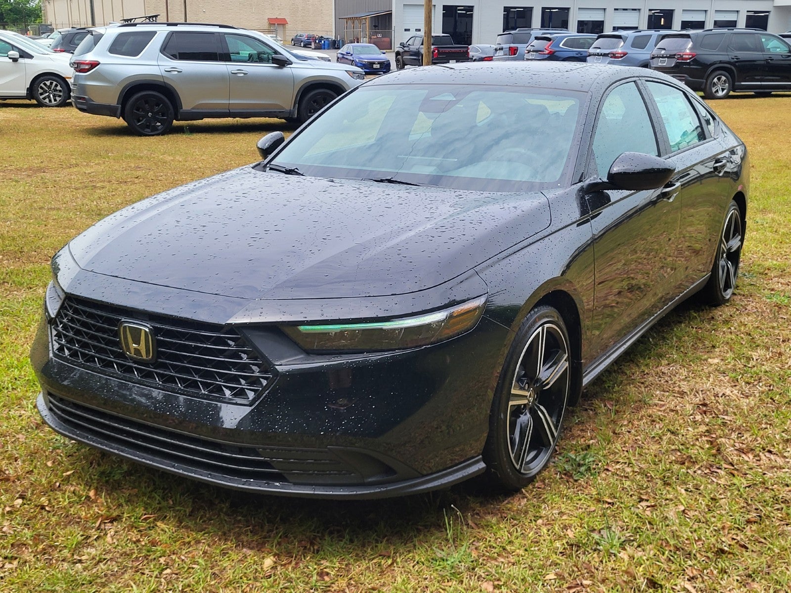 2026 Honda Accord Hybrid Sport