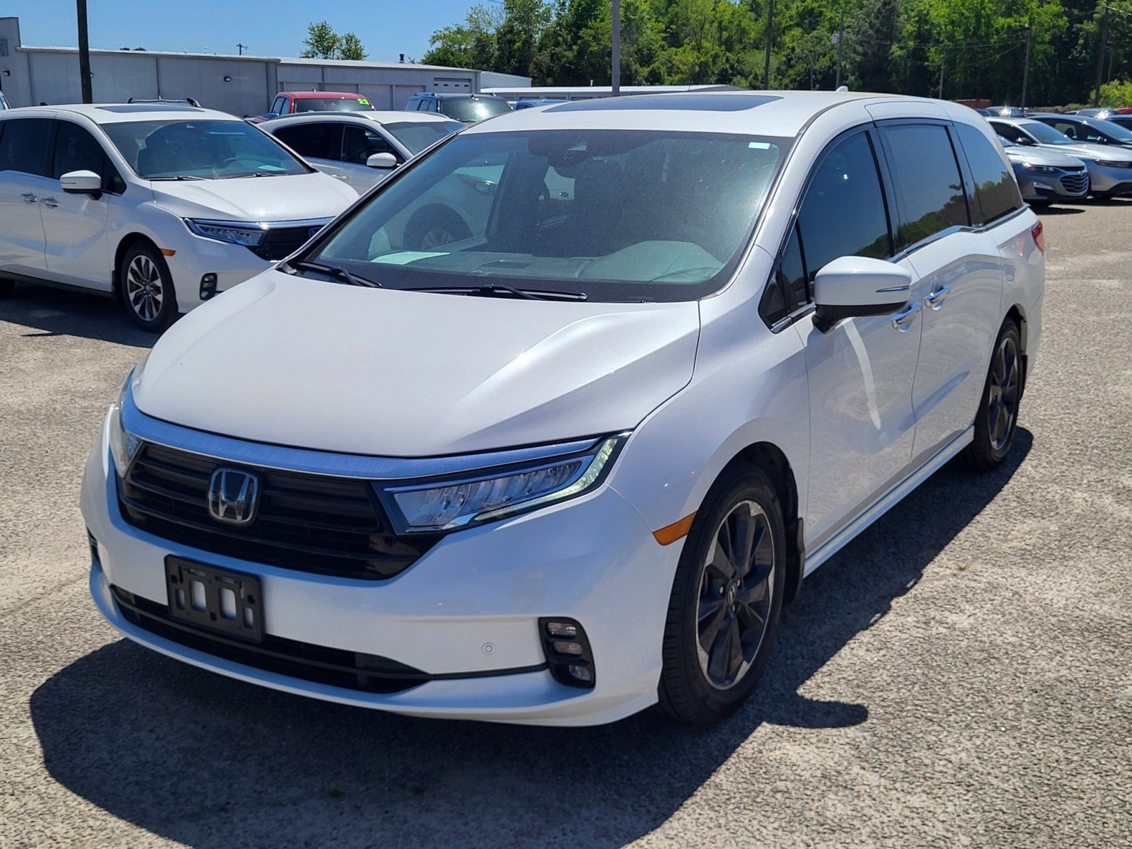 2023 Honda Odyssey Elite