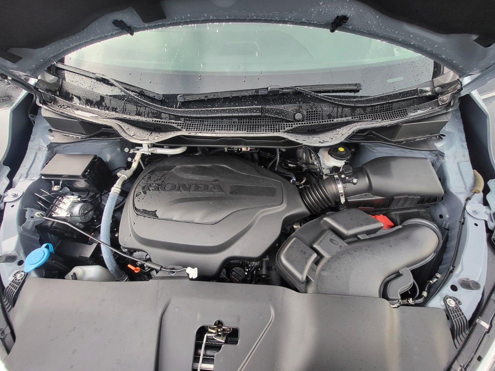 2024 Honda Odyssey Elite