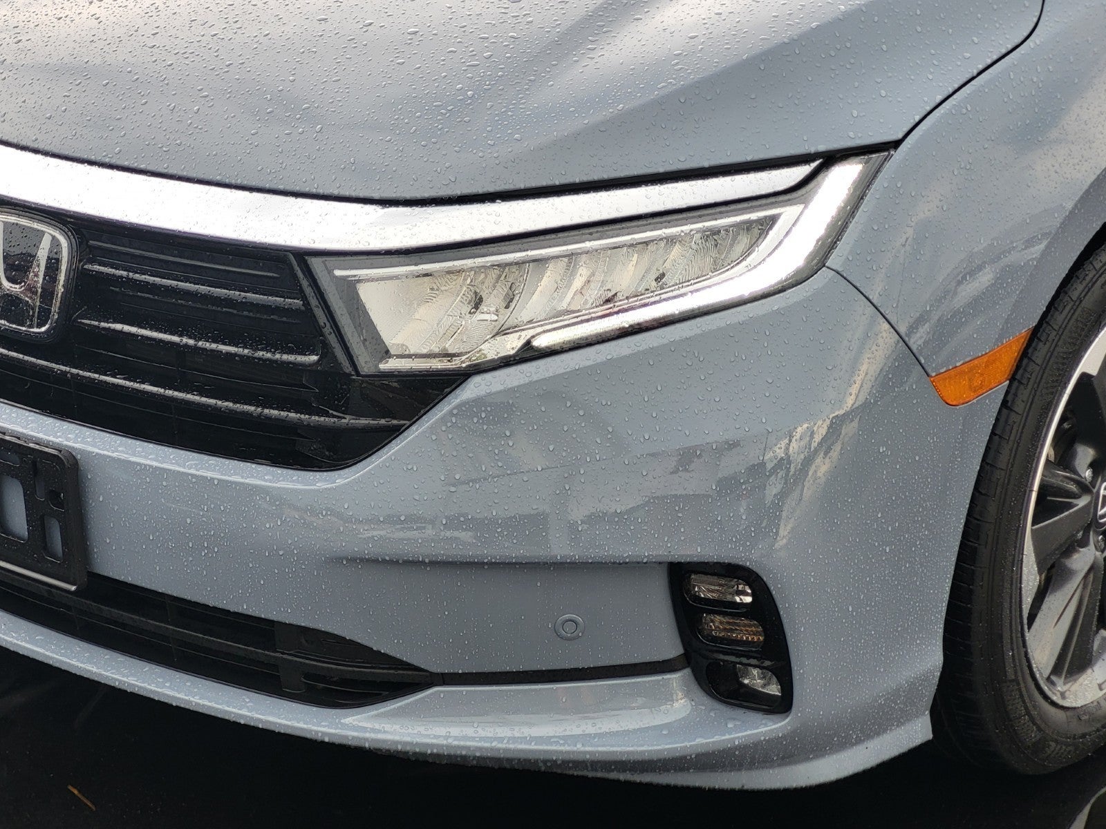 2024 Honda Odyssey Elite