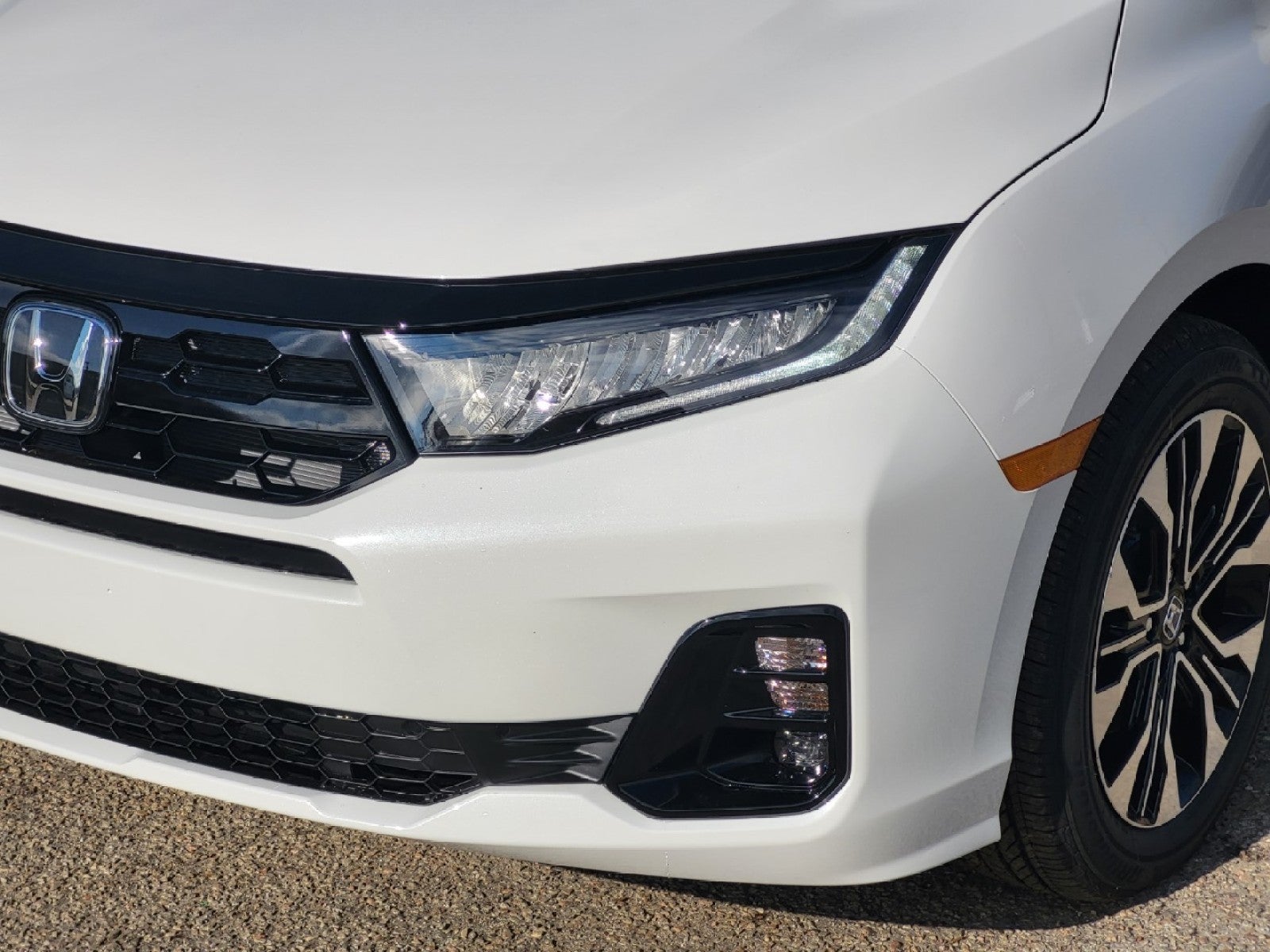 2026 Honda Odyssey Elite