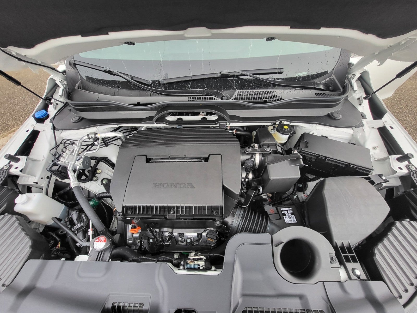 2026 Honda Passport TrailSport Elite Blackout