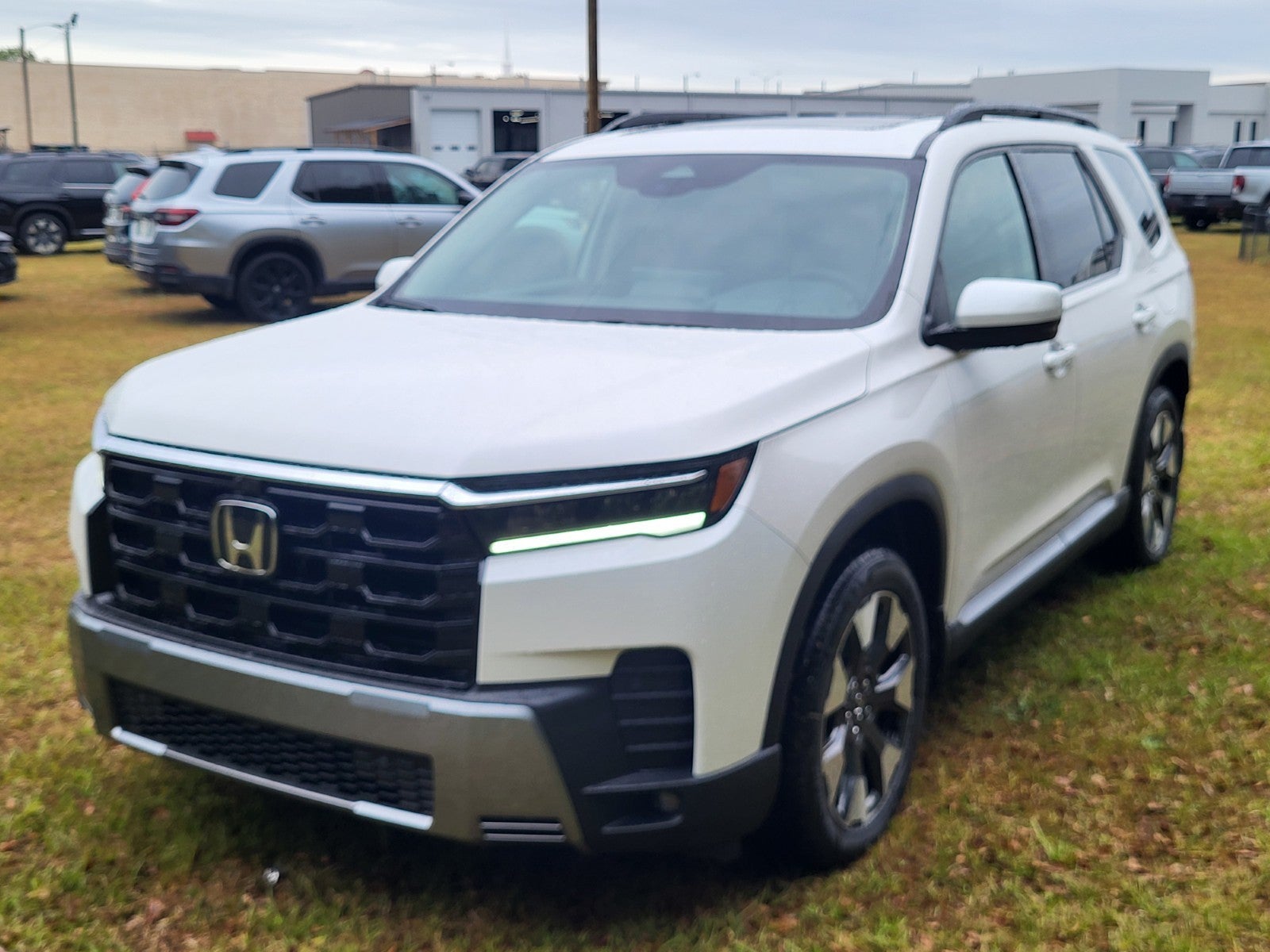 2026 Honda Pilot Elite