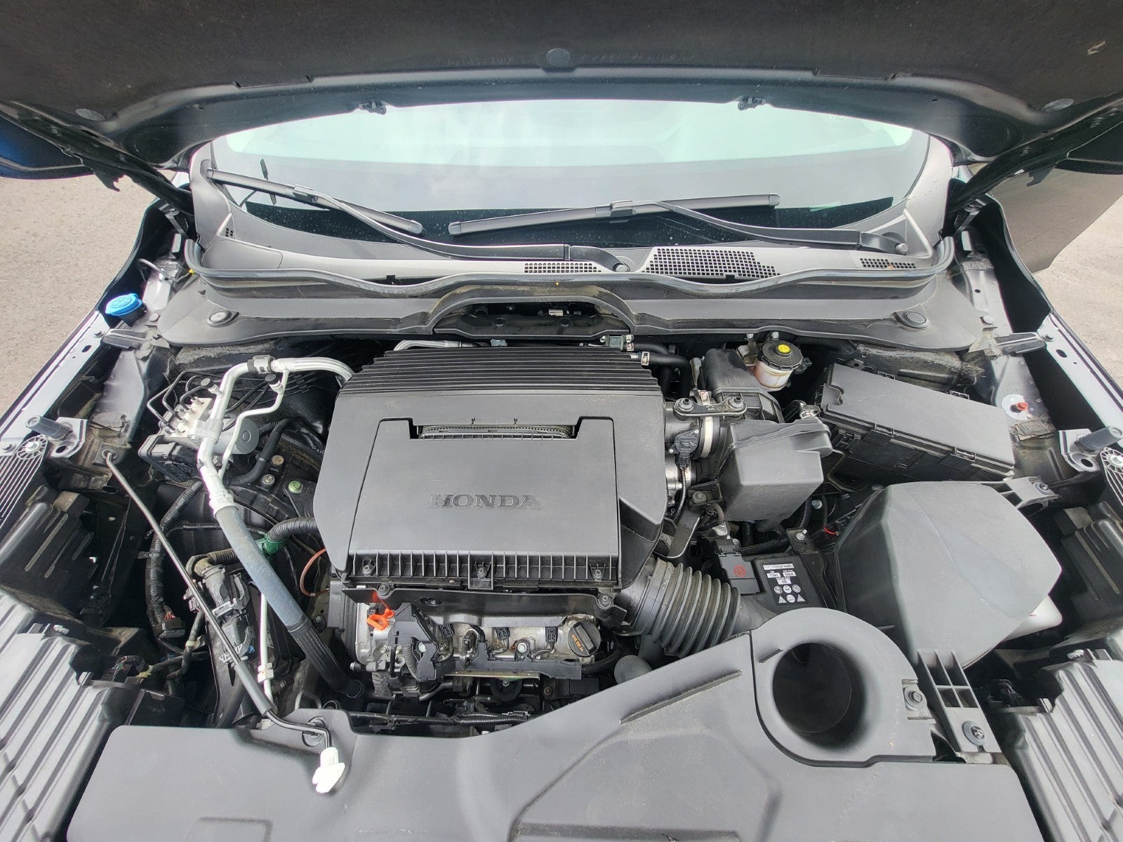 2025 Honda Pilot EX-L - Photo 10