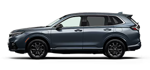 Freedom Honda Sumter in Sumter SC